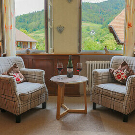 Sitzecke mit Sessel und Blick ins Grne vom Gasthaus goldener Engel