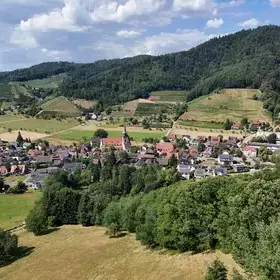 Picknick mit Wein auf einer Wiese im Glottertal