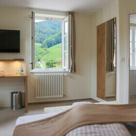 Blick aus dem Fenster in die Natur im Gasthaus goldener Engel