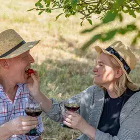 Picknick mit Rotwein und auf einer Wiese im Glottertal mit herrlicher Aussicht